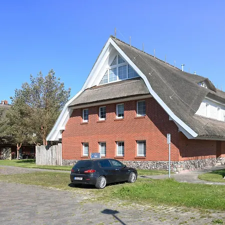 Am Gutspark Drankse Strandflieder