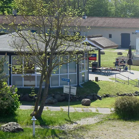 Am Gutspark Drankse Strandflieder アパート ドランスケ