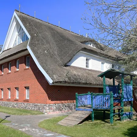 Am Gutspark Drankse Strandflieder