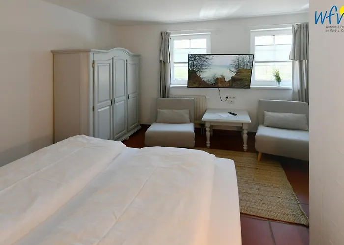 Am Gutspark Drankse Strandflieder * Dranske