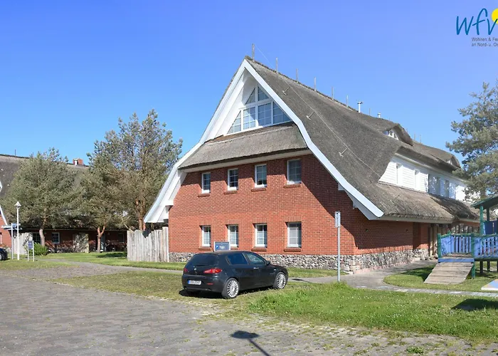 Am Gutspark Drankse Strandflieder