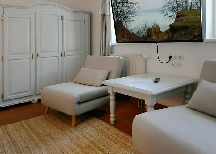 Am Gutspark Drankse Strandflieder Dranske