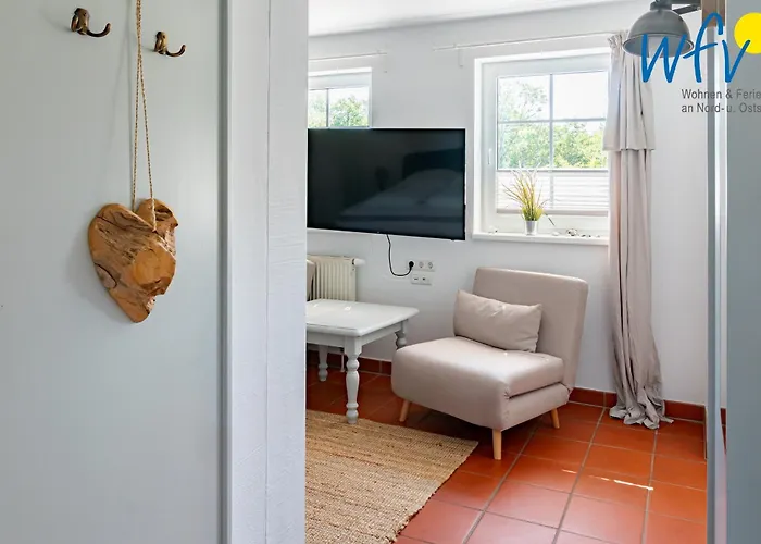 Am Gutspark Drankse Strandflieder