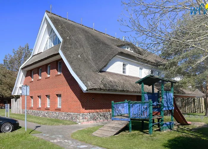 Am Gutspark Drankse Strandflieder