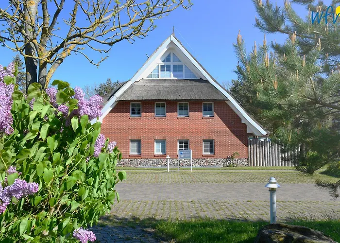 Am Gutspark Drankse Strandflieder *